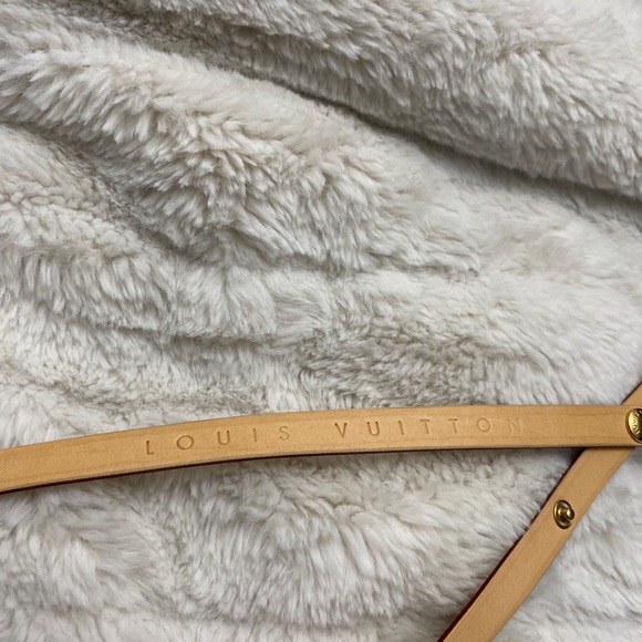 Louis Vuitton Florentine Waist Bag - Picture 10 of 11